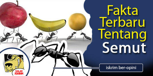 Terungkap, Fakta Terbaru Tentang Semut - Greget Gan!