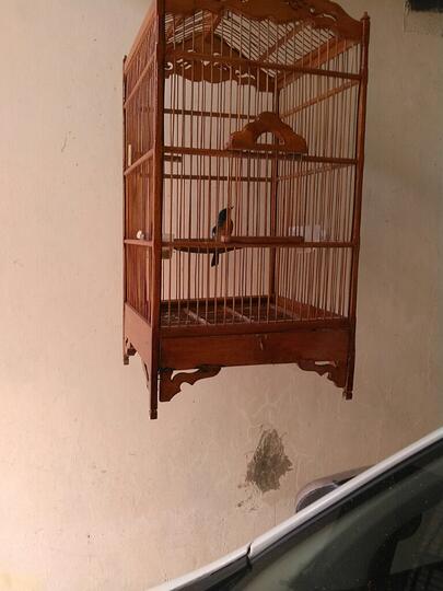 Tledekan Lovers Page 73 Kaskus