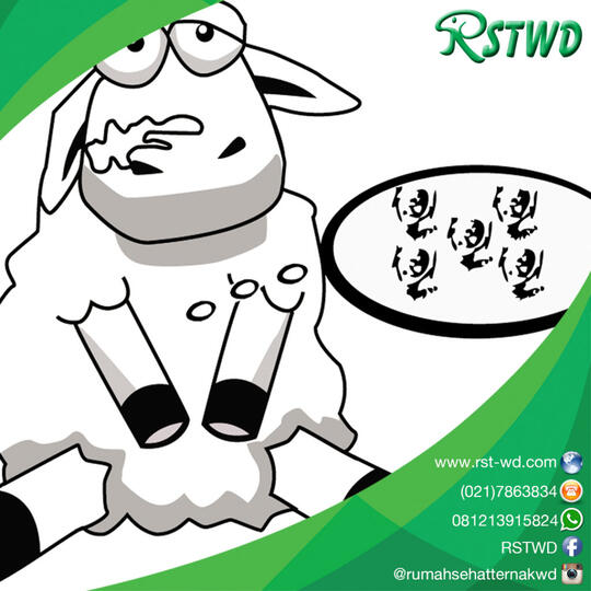 Mengenal Penyakit Cacingan Pada Hewan Ternak Gejalanya Dan Mengenal Penyakit Cacingan Pada Hewan Ternak Gejalanya Dan