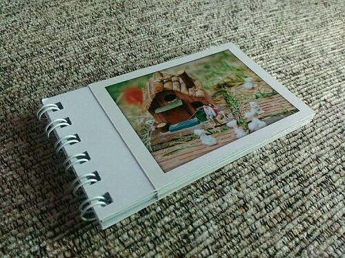 16+ Contoh Hasil Foto Polaroid Rudi Gambar