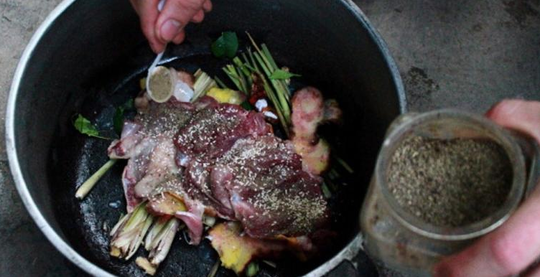 5 Bahaya Daging Kucing Bagi Kesehatan Kaskus