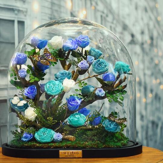 Bunga Mawar di "Beauty and The Beast" Ternyata Benar Ada dan Tahan Selama 3 Tahun