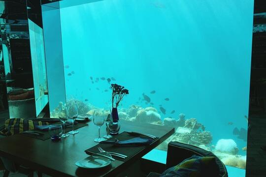 Restoran bawah laut yang bikin agan nggak fokus makan karena keindahannya