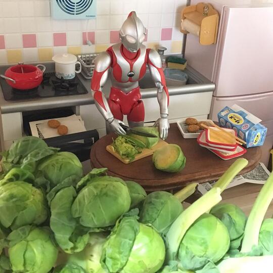 Inilah Yang Dilakukan Ultraman Setelah Pensiun Gan...