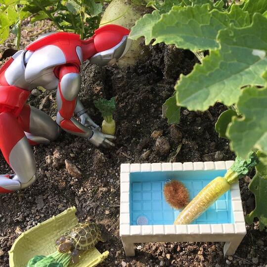 Inilah Yang Dilakukan Ultraman Setelah Pensiun Gan...