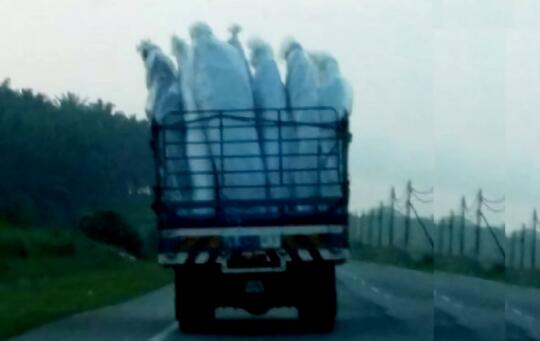 Gimana Kalau Tiba-Tiba di Tengah Jalan Kamu Ketemu Sama Puluhan "Pocong"