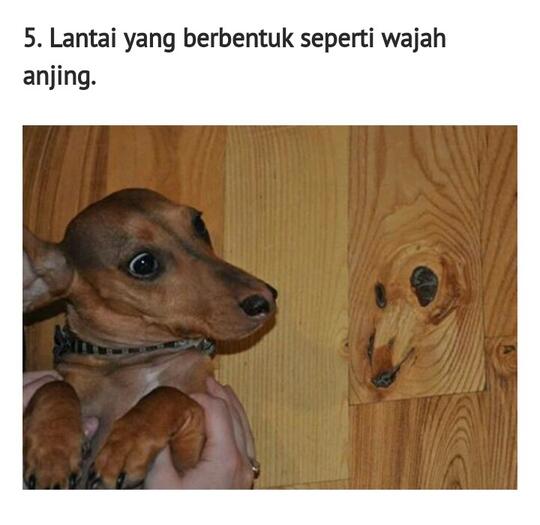 Kalau kamu lihat wajah di 20 benda mati ini, berarti alami pareidolia 