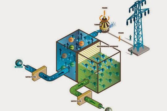 Cara Kerja Pohon Kedondong Menjadi Energi Listrik Kaskus Cara Kerja Pohon Kedondong Menjadi Energi Listrik Kaskus