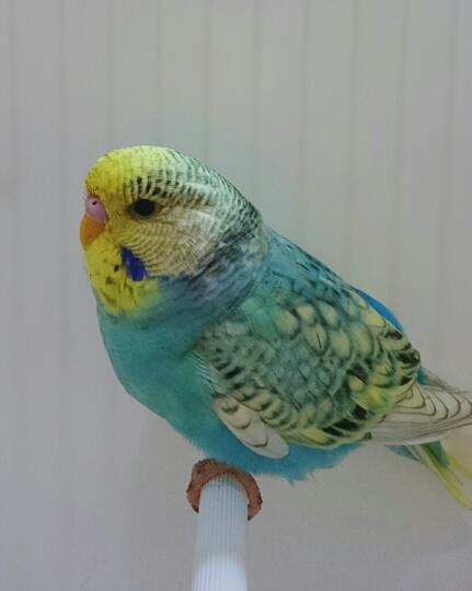 Sharing Parkit Yuk Part 1 Page 20 Kaskus