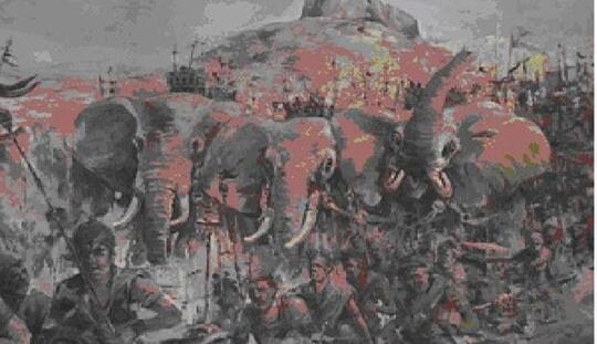 Fakta Ababil Burung Perkasa Yang Diciptakan Untuk Membunuh