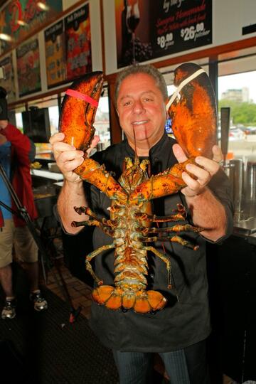Lobster Ini Ditawar Rp13 Juta,Tapi Pemiliknya Pilih Lepas ke Alam
