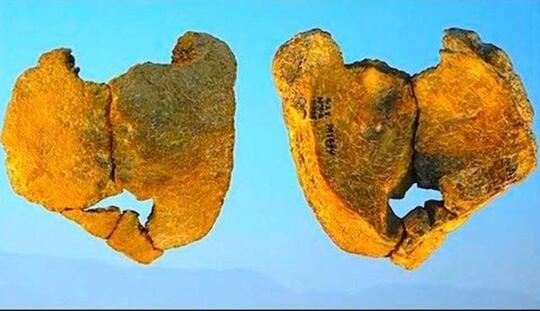 5 Fakta Tentang Persetubuhan Orang-Orang Purba yang Bikin Geleng Kepala