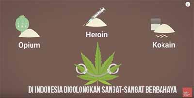 Apakah Ganja Buruk Bagi Kita? *Explained With Animation*