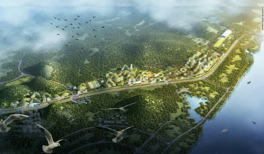 Pertama di Dunia, Negara Ini Membangun Kota Hutan Untuk Melawan Polusi Udara