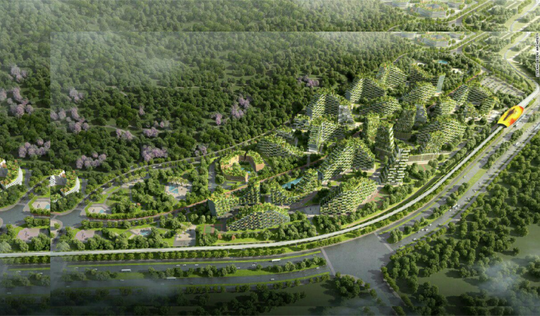 Pertama di Dunia, Negara Ini Membangun Kota Hutan Untuk Melawan Polusi Udara