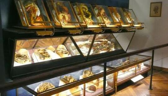 10 Museum Medis Paling Aneh & Menyeramkan di Dunia