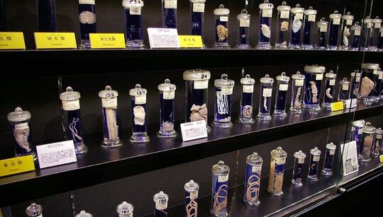 10 Museum Medis Paling Aneh & Menyeramkan di Dunia