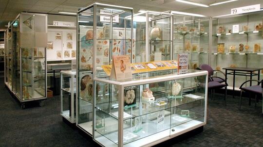 10 Museum Medis Paling Aneh & Menyeramkan di Dunia