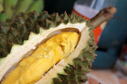 Durian Ini Nggak Ada Durinya, Jadi Namanya Apa Dong?