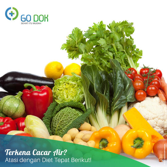 Makanan Yang Baik Dikonsumsi Oleh Penderita Cacar Air Kaskus