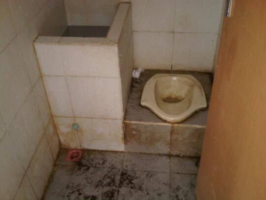 Yang Sering dialami dan difikirkan jika menggunakan Toilet Umum