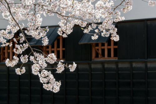 Resep Bahagia Menurut Filosofi Jepang