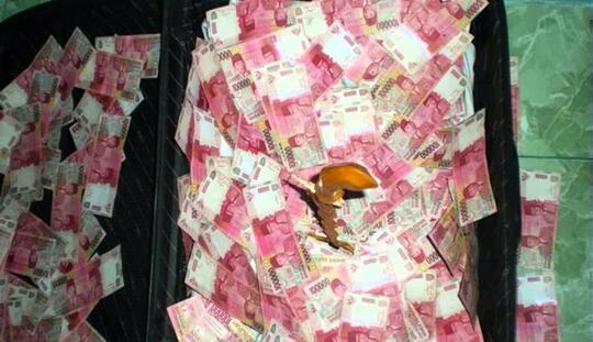 Menikah Dengan Jin, Solusi Edan untuk Jadi Kaya tapi Banyak Peminat