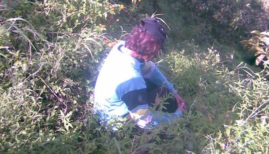 Menikah Dengan Jin, Solusi Edan untuk Jadi Kaya tapi Banyak Peminat