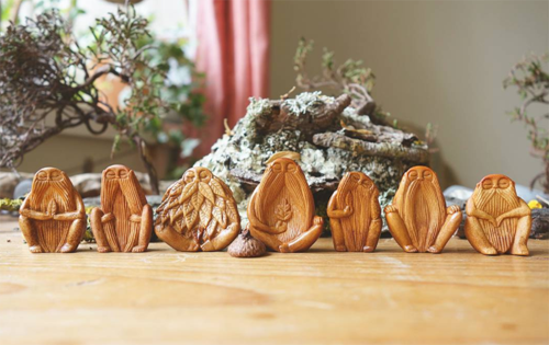 Pernah Liat Biji Alpuket Jadi Begini?