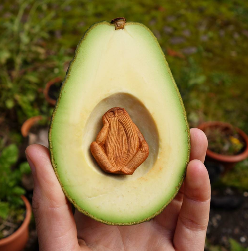 Pernah Liat Biji Alpuket Jadi Begini?