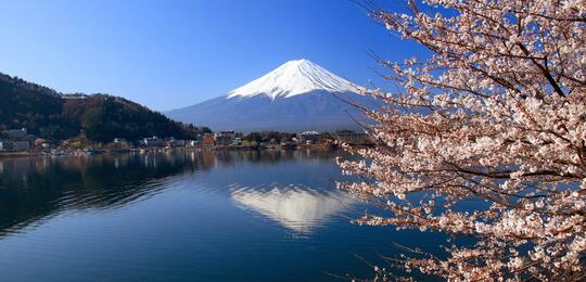 7 Kebiasaan asal Jepang Ini Ternyata Dibenci oleh Orang Jepang Gan!!