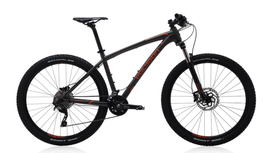 Polygon Siskiu Rider