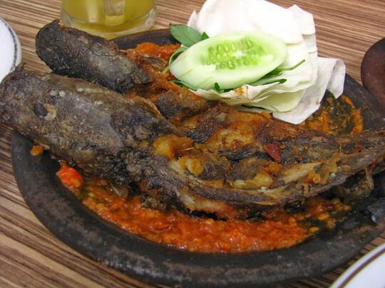 Gambar Makanan Pecel Ayam - Gambar Barumu
