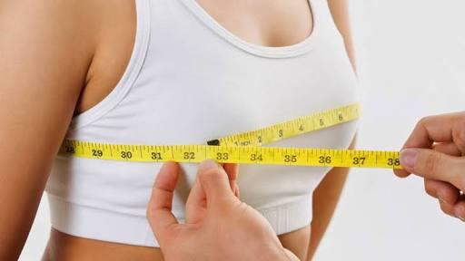 7 Wanita Pemilik Payudara Terbesar di Dunia
