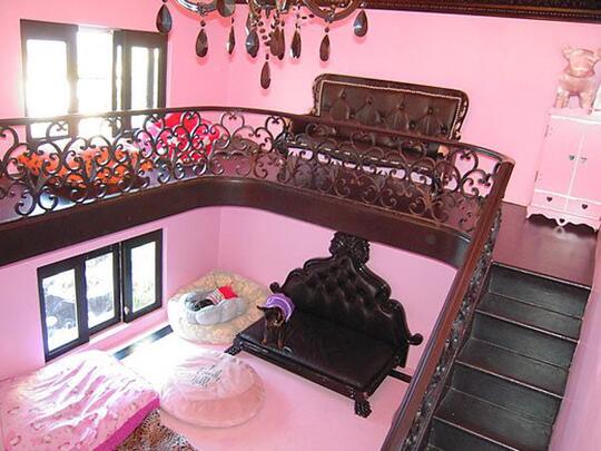 Yuk Intip Rumah Mewah Anjing Milik Paris Hilton Yang Dilengkapi