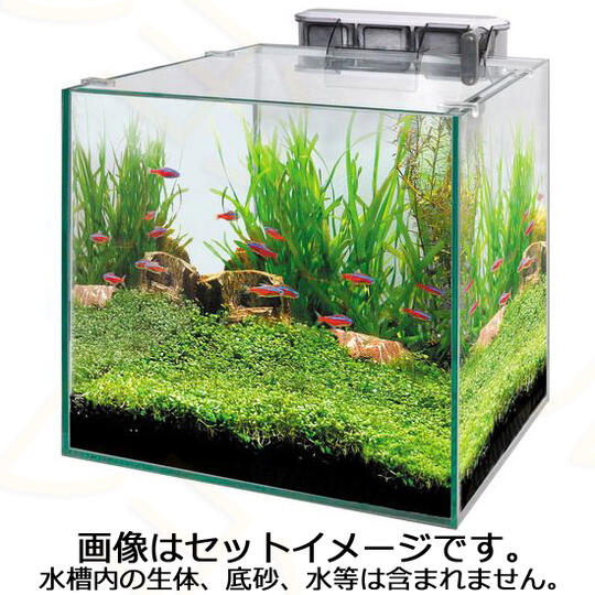 Aquascape For Everyone Part 3 Page 121 Kaskus