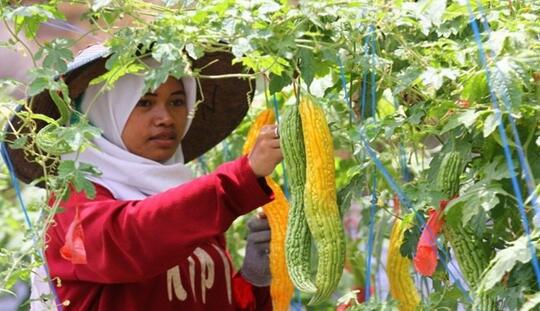 5 Hal Hebat yang Bisa Dilakukan dari Jam Tangan Mahal Syahrini