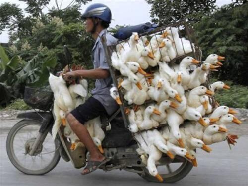 Kepepet macet? Ini dia nih gan 5 jurus jitunya