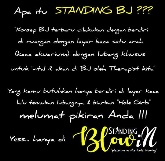 Standing BLOW IN (Ruko Alam Sutera Town Centre/ASTC Blok 10F No.38 Alam Sutera)