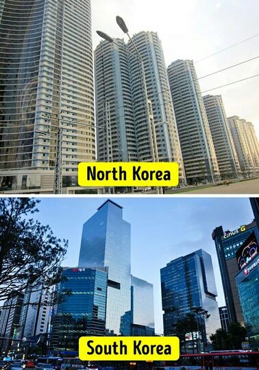 Potret Kehidupan Di Korea Setelah Terpisahkan