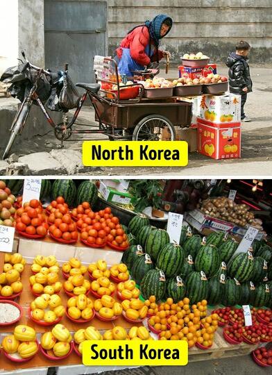 Potret Kehidupan Di Korea Setelah Terpisahkan