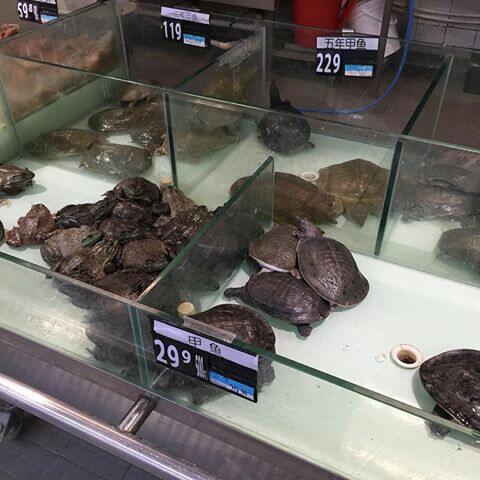 Hal Hal Unik Yang Bisa Agan Temukan Di China