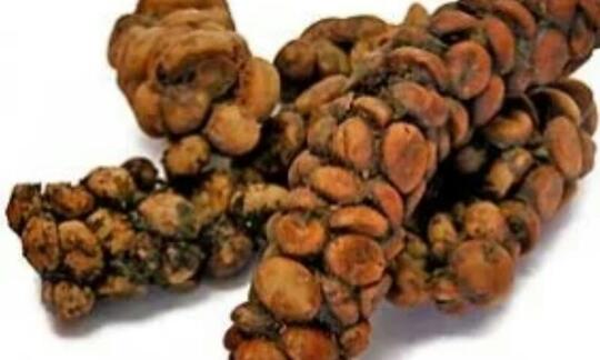 Benda Yang Menjijikkan Bila Di Jual Harganya Sangat Mahal