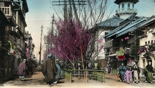 5 Fakta Panas Fuzoku Gyokai, Kedai “Plus-Plus” Jepang yang Mendunia 🔥