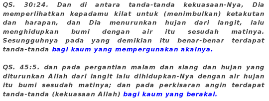 Muawiyah;Bapak peradaban yang idealis
