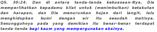 Muawiyah;Bapak peradaban yang idealis