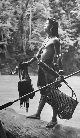 Foto langka dan jadul potret kehidupan Suku Dayak di Borneo, keren!