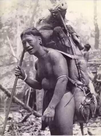 Foto langka dan jadul potret kehidupan Suku Dayak di Borneo, keren!