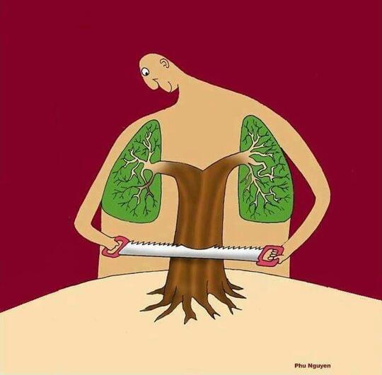 Ketika Ilustrasi Mulai Berbicara