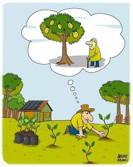 Ketika Ilustrasi Mulai Berbicara